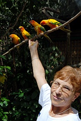 0722 Birdworld Kuranda